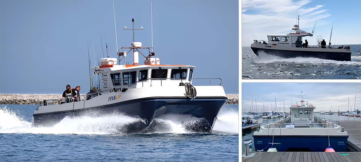 Daniel Clarke's Fins-Up